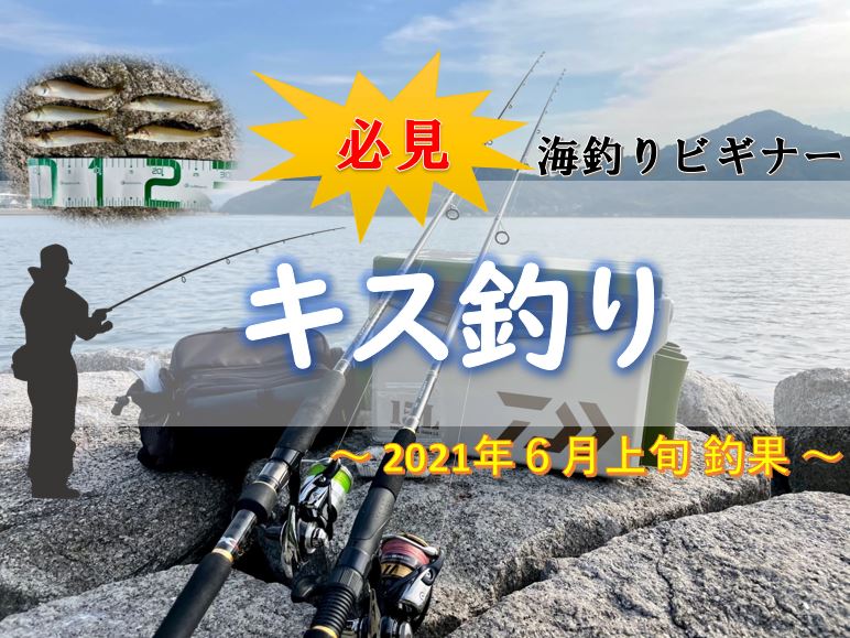 【岡山】 ちょい投げでキス釣り調査②笠岡市神島 (2021年6月上旬)釣果