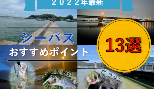《2022年最新》厳選！岡山県のシーバスおすすめポイント13選！