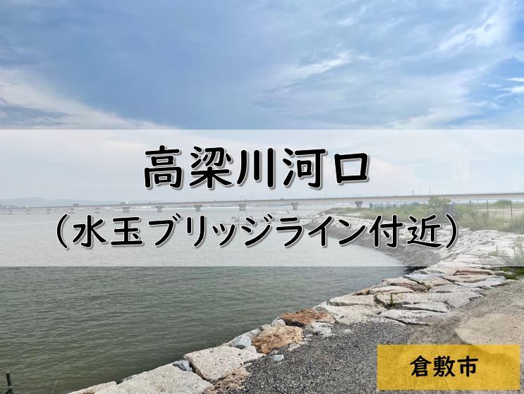 岡山県の釣りポイント㊱　高梁川河口・水玉ブリッジライン付近