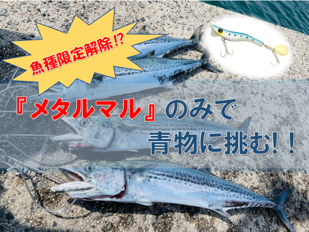 魚種限定解除 メタルマルのみで挑むショアジギ 山陰方面 21年5月8日 釣果あり Pukutaku
