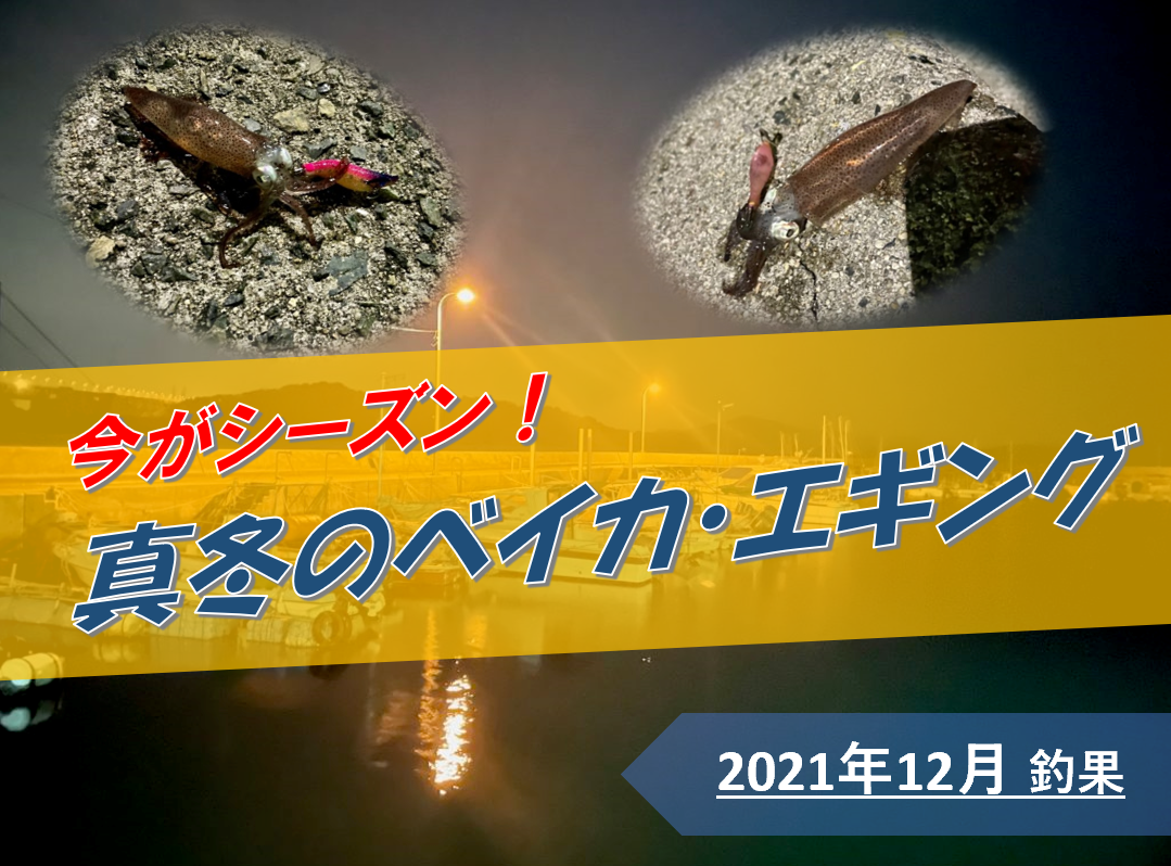 【岡山県倉敷市】ベイカエギングでまさかの大爆釣！極寒＆雨は関係なし⁉(2021年12月中旬)釣果あり