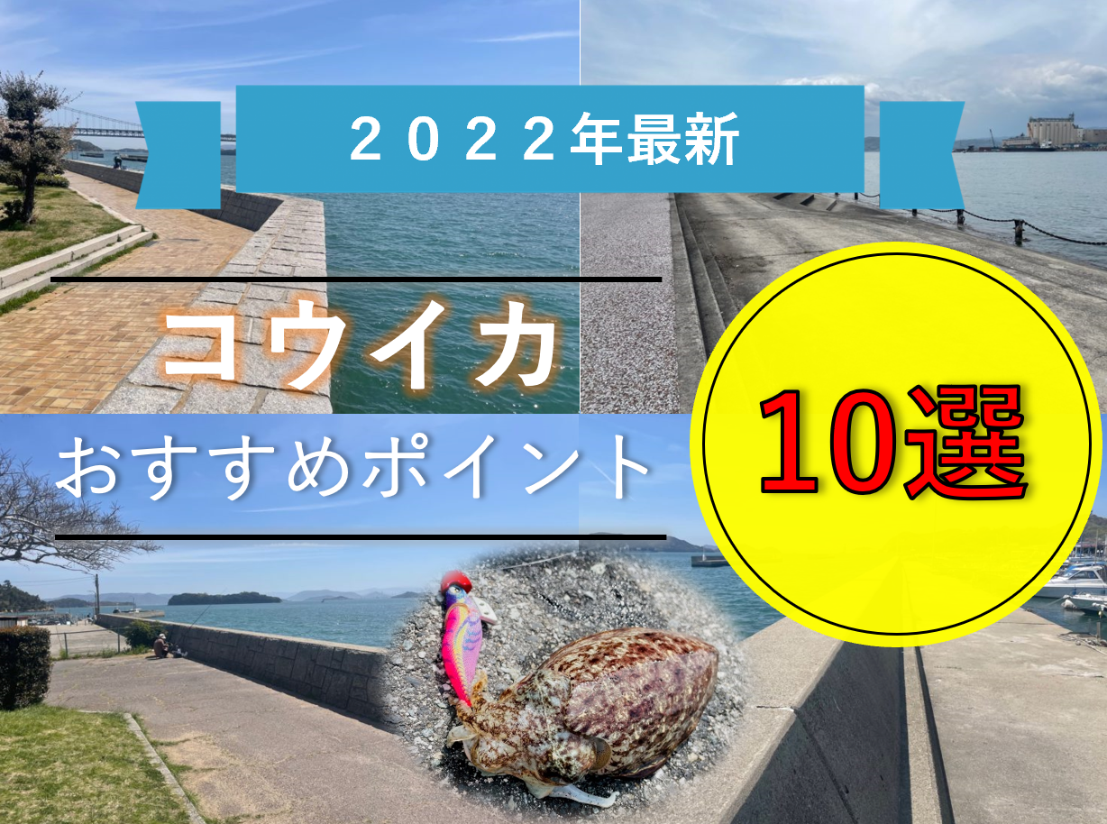 《2022年最新》厳選！岡山のコウイカ釣りおすすめポイント９選！