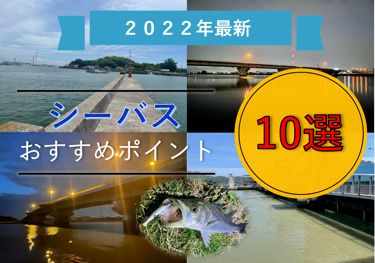 《2022年最新》岡山のシーバスおすすめポイント1２選！