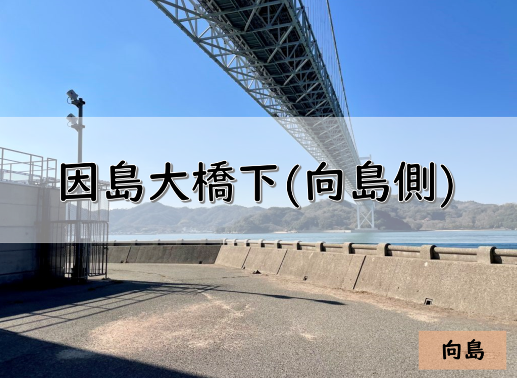 広島 向島のおすすめ釣りポイント 因島大橋下 向島側 Pukutaku