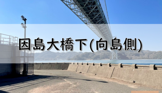 【しまなみ海道】向島のおすすめ釣りポイント　因島大橋下(向島側)