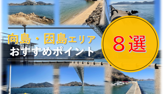 【しまなみ海道】厳選‼向島・因島のおすすめ釣りポイント8選！《2022年版》
