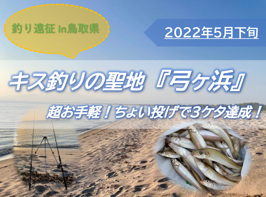 キス釣りの聖地 弓ヶ浜 超簡単 ちょい投げキス釣りで3桁達成 22年5月 釣果ブログ Pukutaku