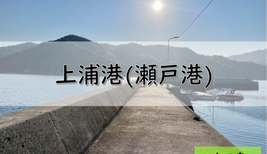 【しまなみ海道】大三島のおすすめ釣りポイント　上浦港(瀬戸港)