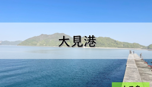 【しまなみ海道】大三島のおすすめ釣りポイント　大見港