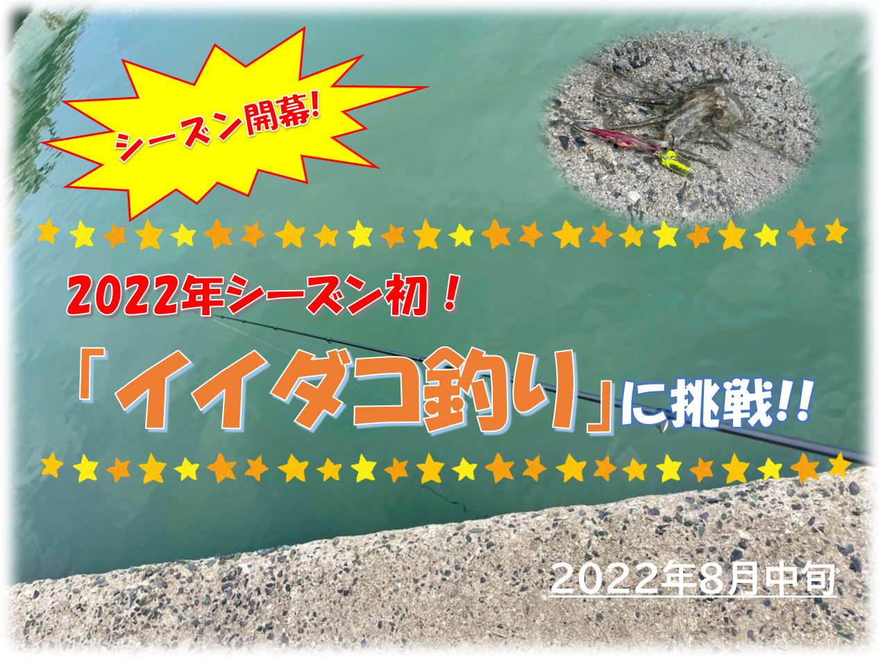 22年シーズン初のイイダコ釣り 今年の釣果はいかに 22年8月中旬釣果 Pukutaku