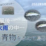 【鳥取・境港】リベンジ釣行！台風後にサゴシを狙ってショアジギング！(2022年9月下旬)