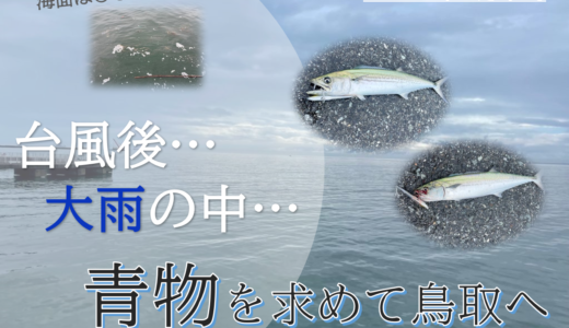 【鳥取・境港】リベンジ釣行！台風後にサゴシを狙ってショアジギング！(2022年9月下旬)