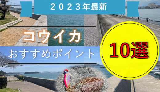 《2023年最新》厳選！岡山のコウイカ釣りおすすめポイント９選！