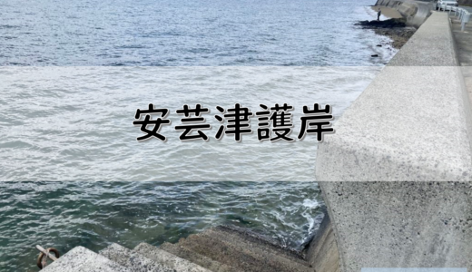 【広島】東広島市のおすすめ釣りポイント　安芸津護岸