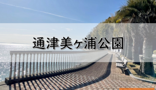 【山口】岩国市のおすすめ釣りポイント　通津美ヶ浦公園