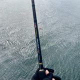 【岡山】ショアラバで春の真鯛を狙うつもりが…まさかの嬉しいアイツが釣れた！in大室漁港《2024年4月16日釣果》
