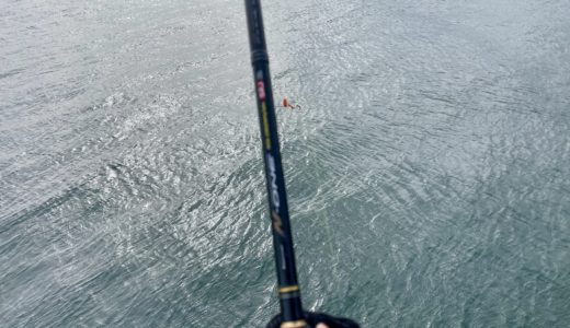 【岡山】ショアラバで春の真鯛を狙うつもりが…まさかの嬉しいアイツが釣れた！《2024年4月16日釣果》